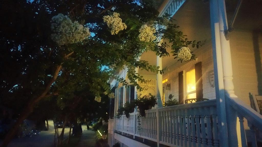 Pecan Tree Inn Beaufort 外观 照片