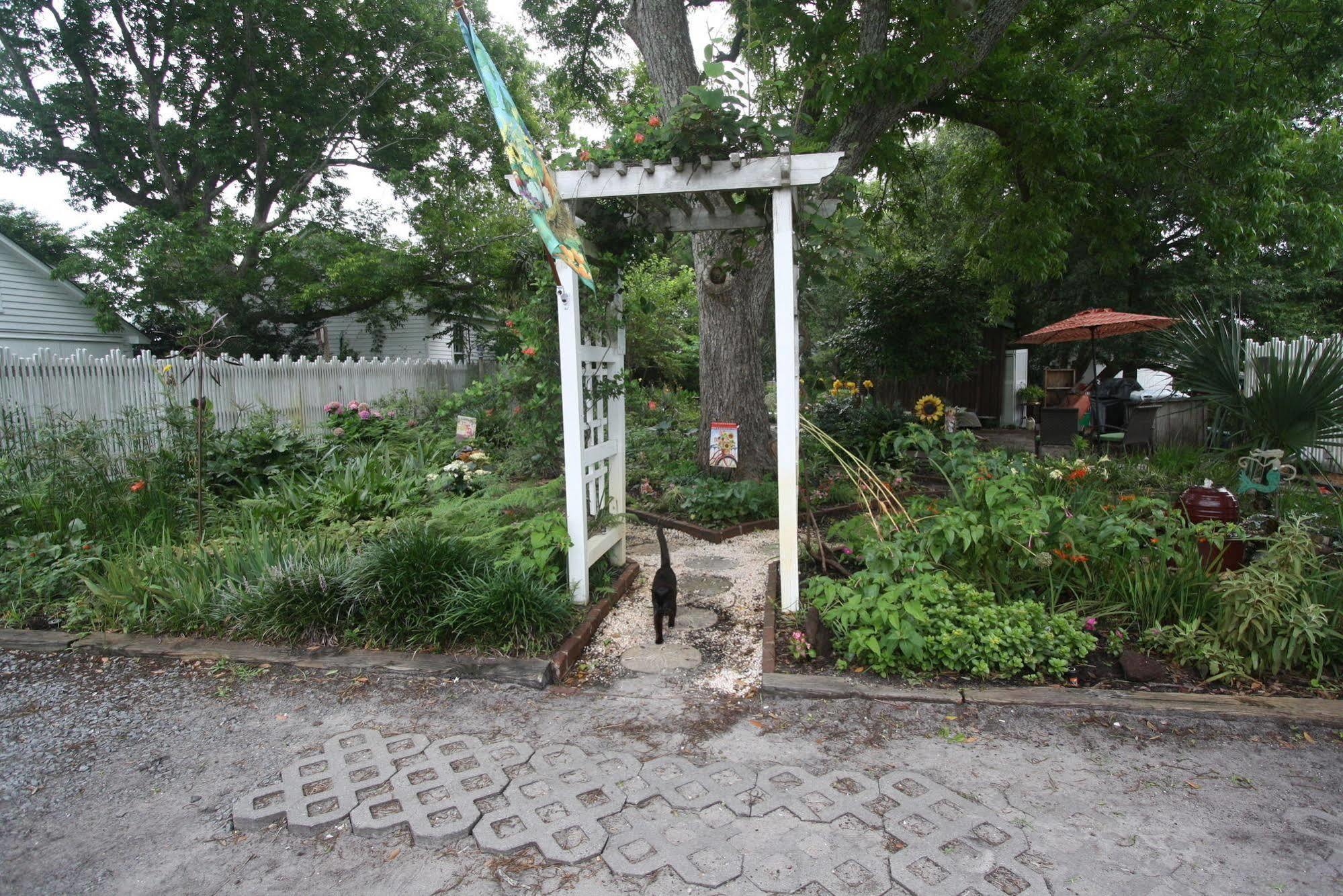 Pecan Tree Inn Beaufort 外观 照片